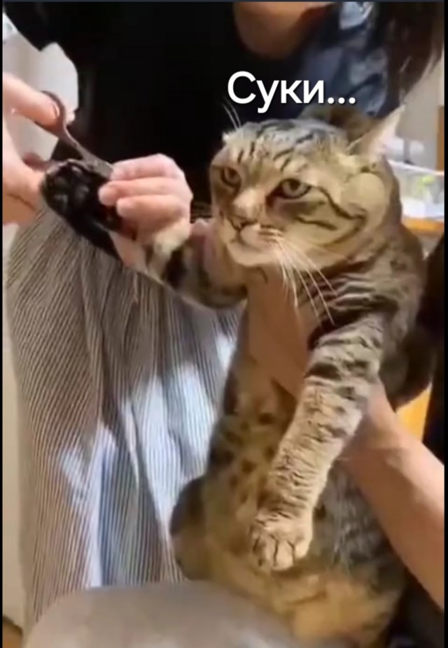 Кто на коготочки?