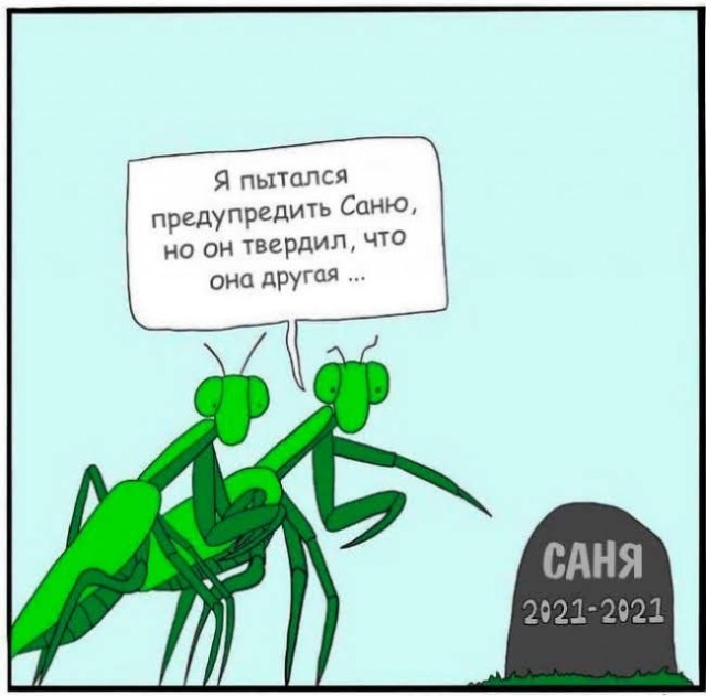 Так себе картинки 30.06.25