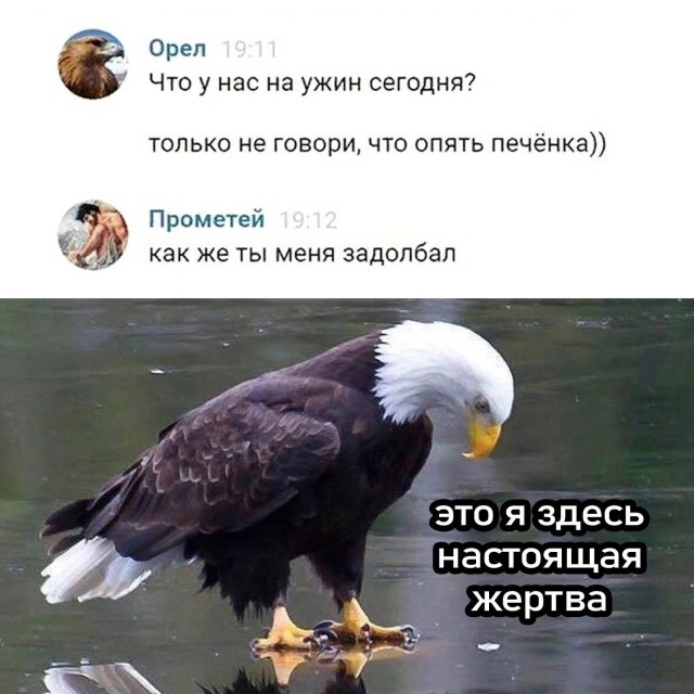 Картинки для деградации-6 (разной степени свежести)