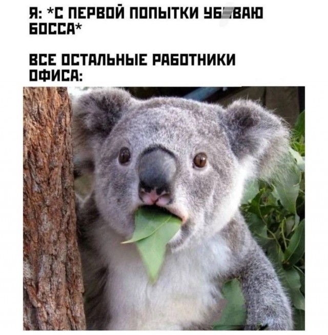 Пятница 12
