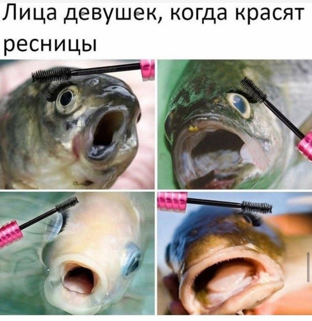 Так себе картинки 14.09.25