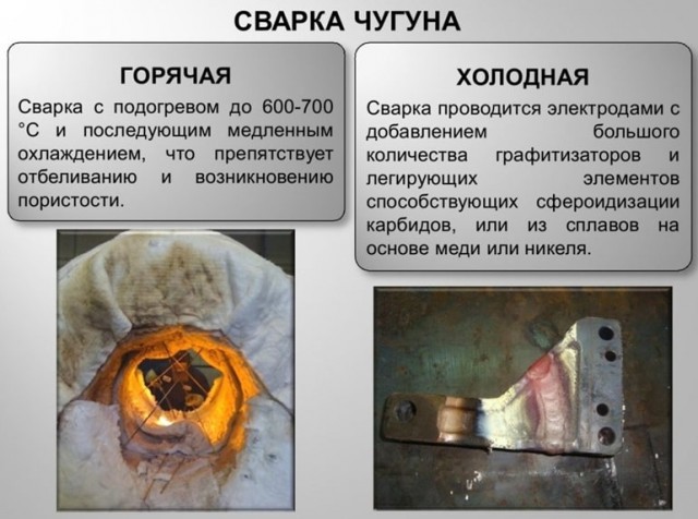 ЯП познавательный