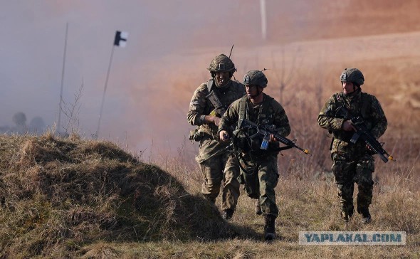 Politico узнало о вариантах удара ЕС по России в гибридной войне