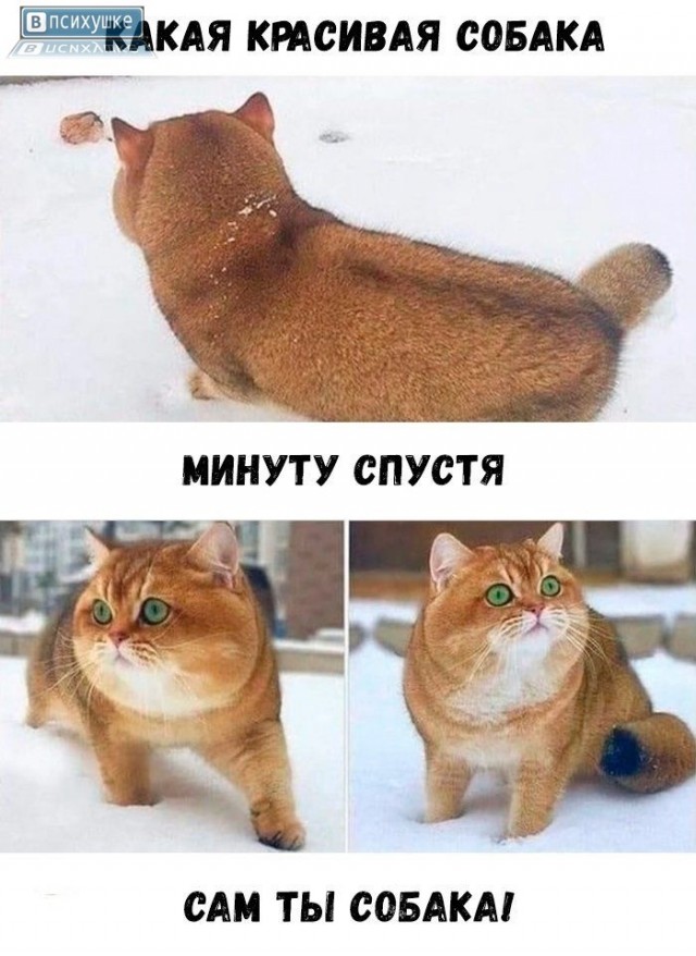 Воскресные картинки