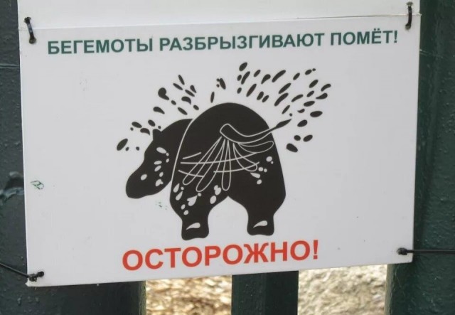 А где Эйс Вентура?