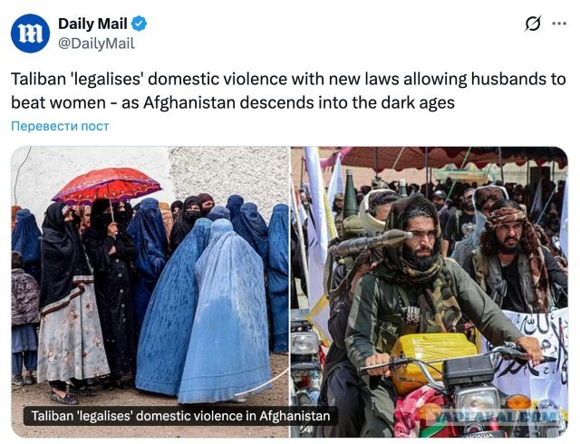 Талибы разрешили мужьям избивать жён — Daily Mail
