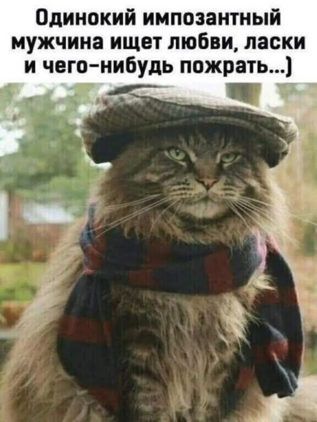 Картинки для деградации 168 (разной степени свежести)