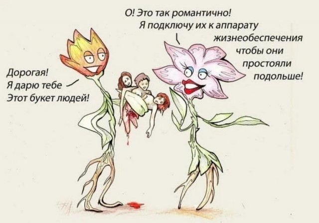 Аспарагусы