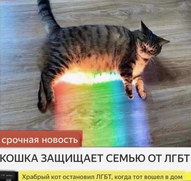 В российских школах начали проводить уроки об «опасности» VPN
