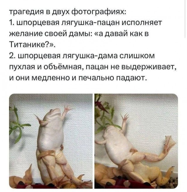 Веселое настроение в картинках (06.05.2026)