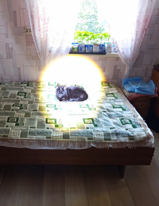 Да будет свет