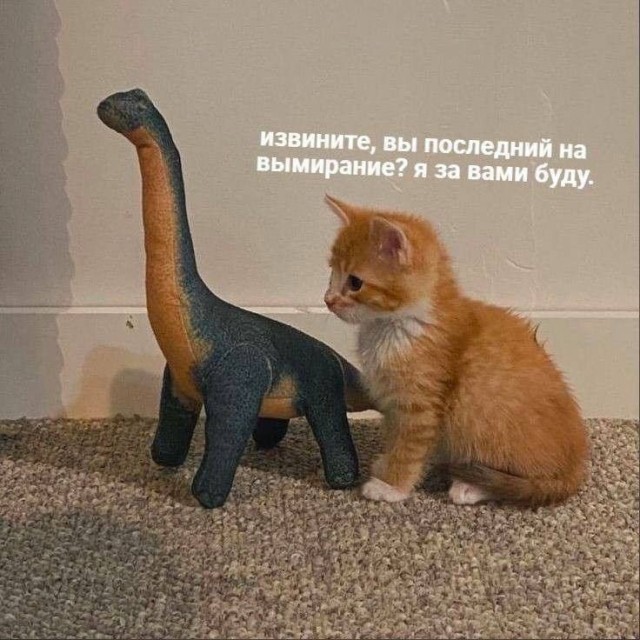 Так себе картинки 17.06.26