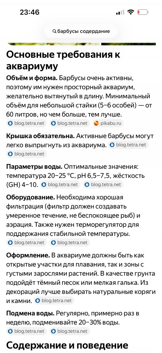 Сомик и барбусы