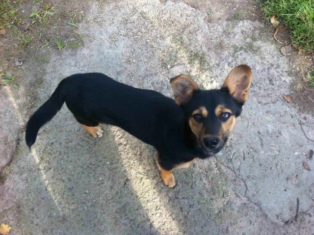 Мой отпуск в белорусской деревне