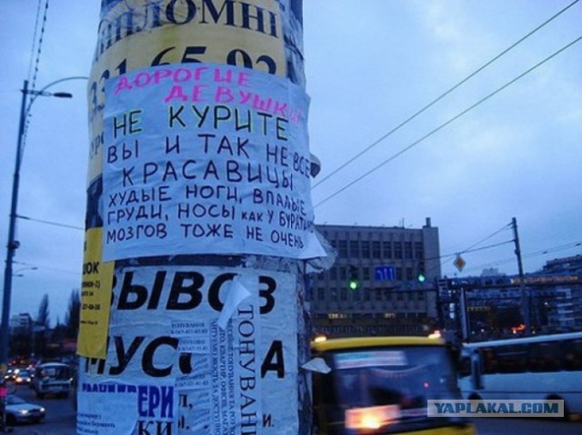 Народное творчество 2013