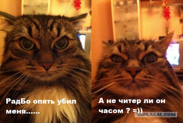 Battlefield 4
