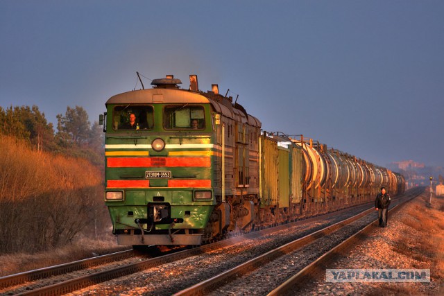 Победители фотоконкурса