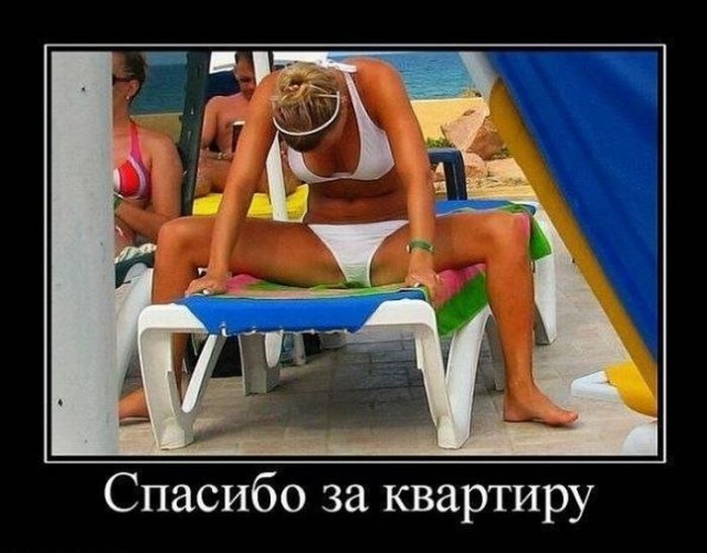 Комментарии из социальных сетей