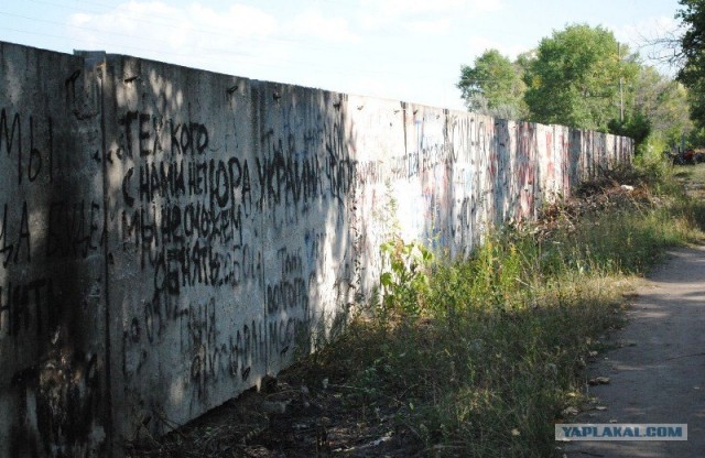 фото с кладбища где похоронен Юра Хой.