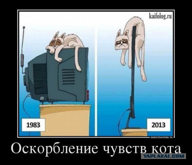 Свежие картинки из сети