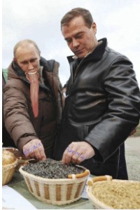 Урожай будет спасен!