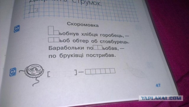 Чему учат в украинских школах.