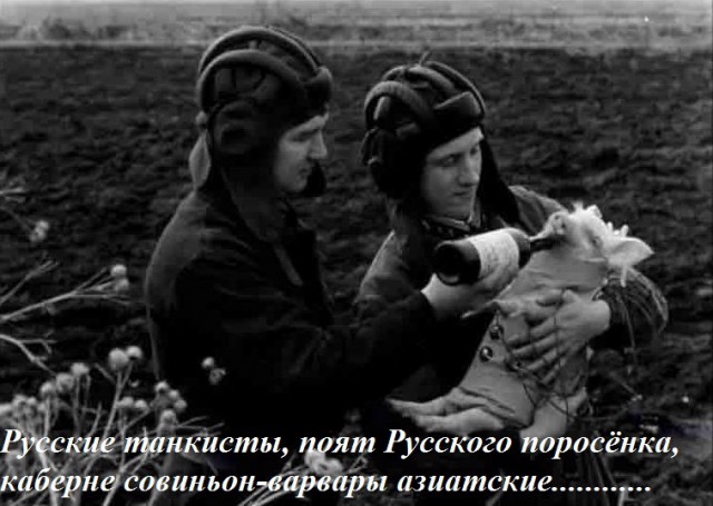 Приключения американки в российском плацкарте