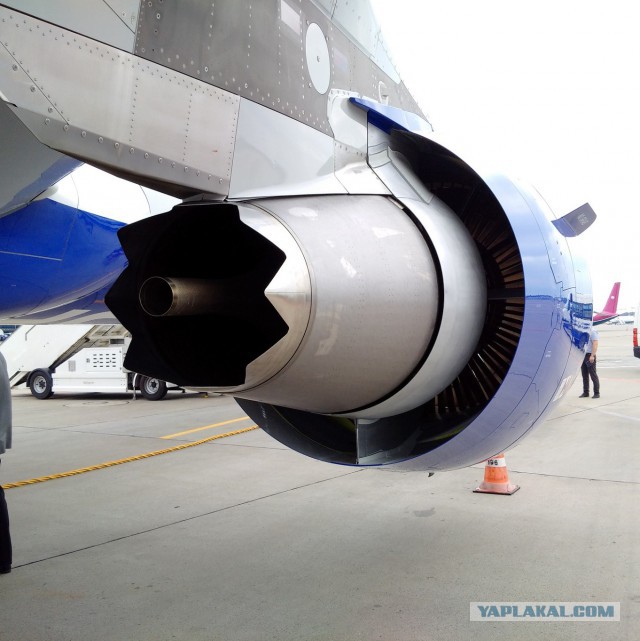 Прилет новенького Airbus 321 во Внуково