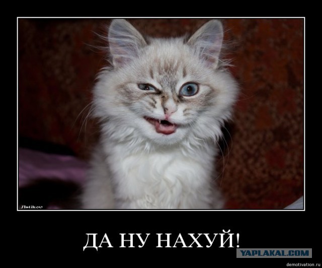 ���������� ���������� �������� ������ �����