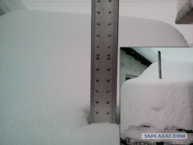 Вот такая нынче зима