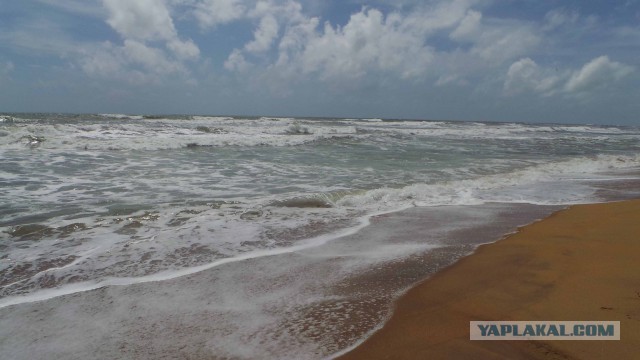 Самостоятельное путешествие в Шри-Ланку