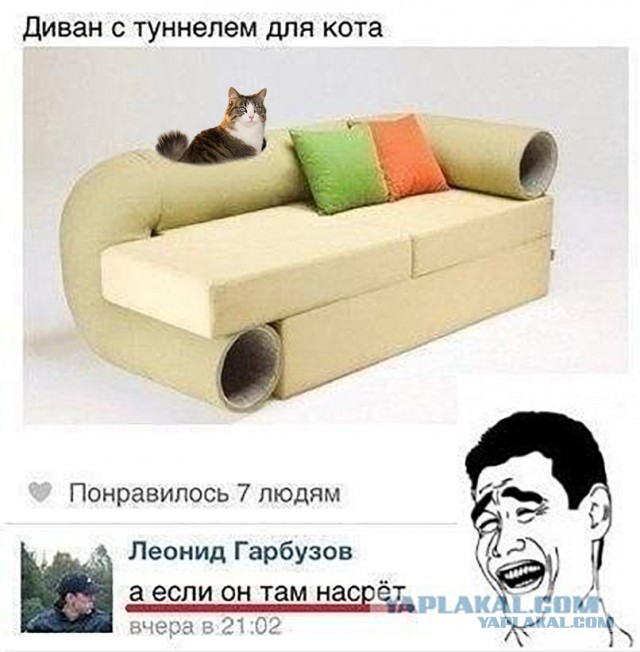 Ужасы и приколы из соцсетей 18+