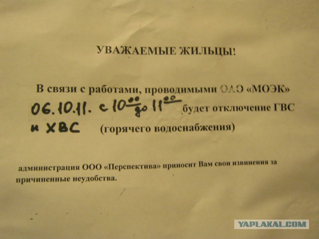 Весёлые картинки