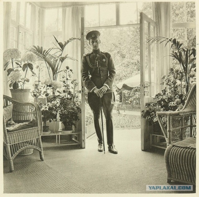 Архив фотографий Великого князя из тайника в арбатской квартире