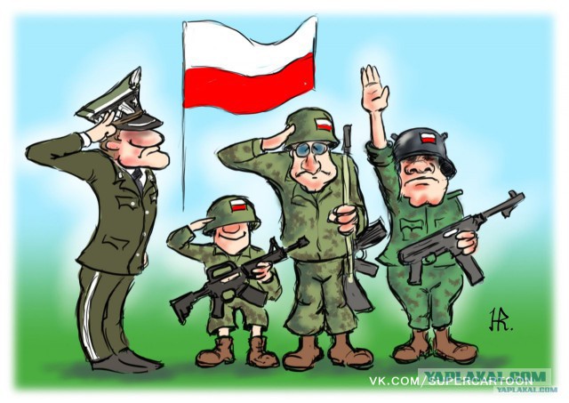 Поляки почтили память павших советских солдат