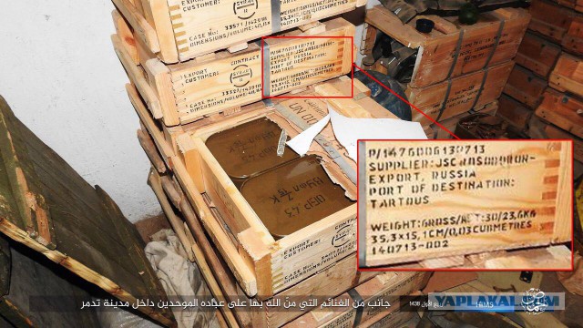 МИД Франции: РФ отдала Пальмиру ИГ, воюя с умеренной оппозицией в Алеппо