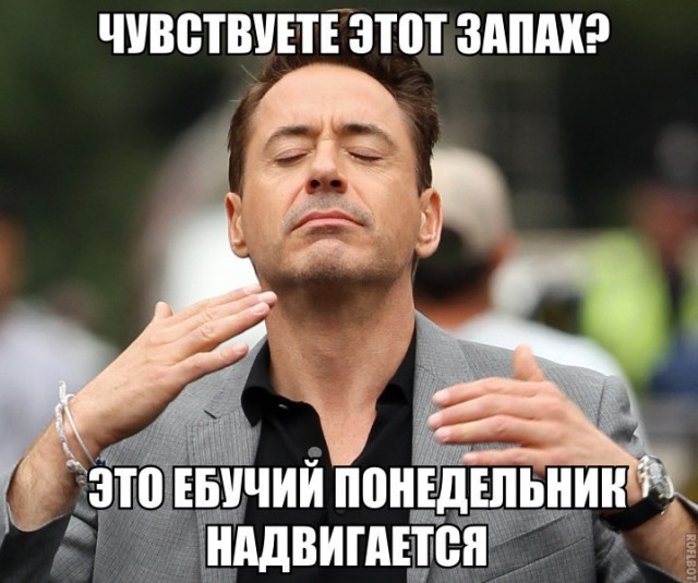Смешные картинки с надписями 2