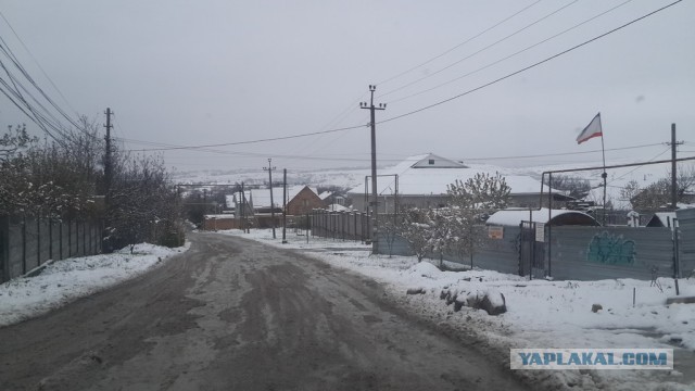Вот такая у нас в Крыму сегодня погодка