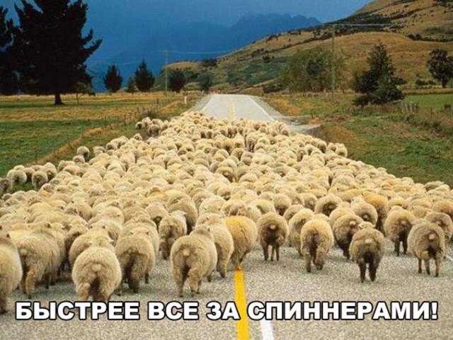 Смешные и не очень картинки из этих ваших интернетов