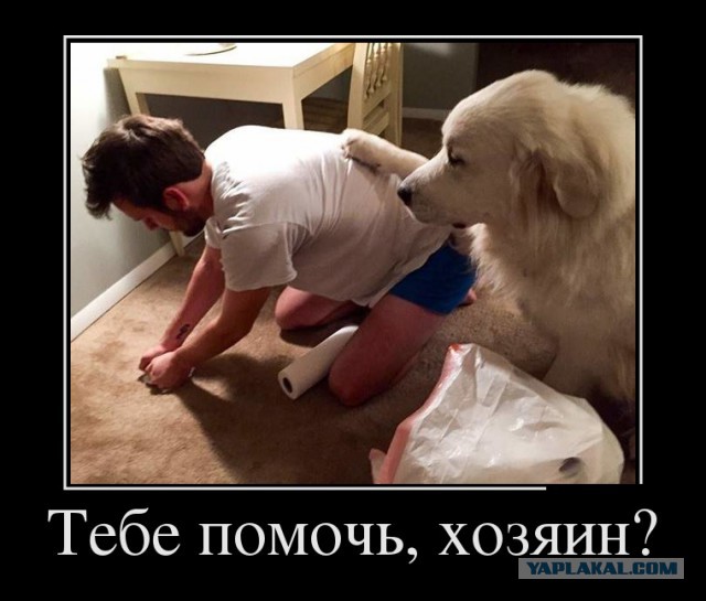 Зря вы это всё...