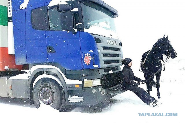 Дальнобойщица