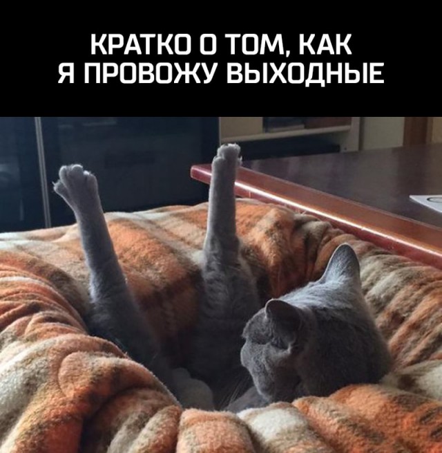Немного картинок на вечер