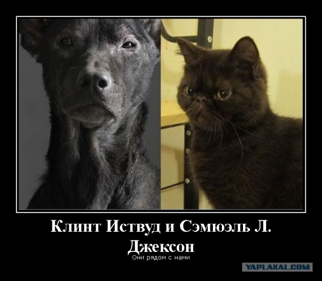 Клинт Иствуд и Сэмюэль Л. Джексон