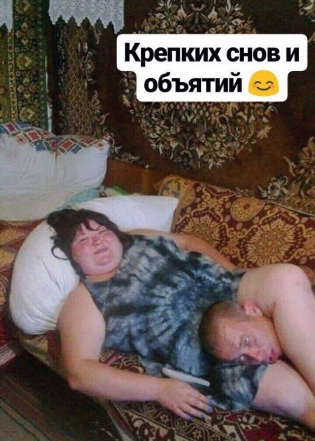 Скотсети и прочие интернеты 01.02.19