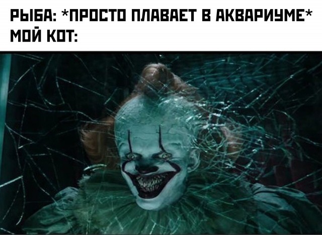 Умные мюсли