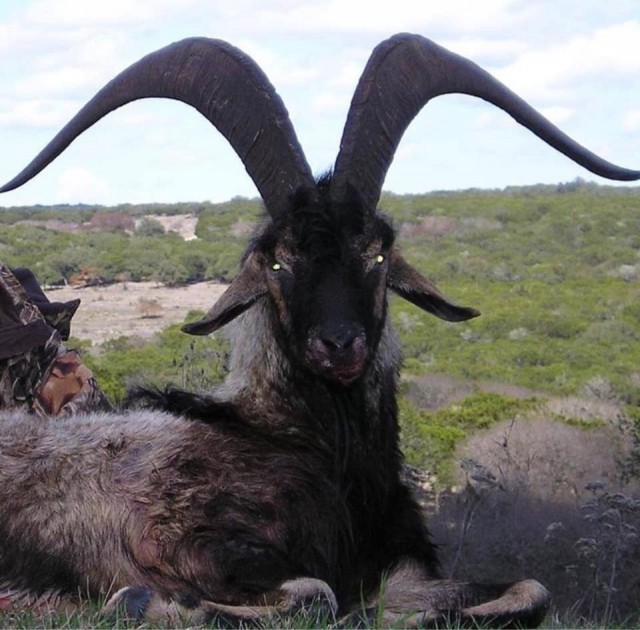 Немного картинок для настроения 16.11.19
