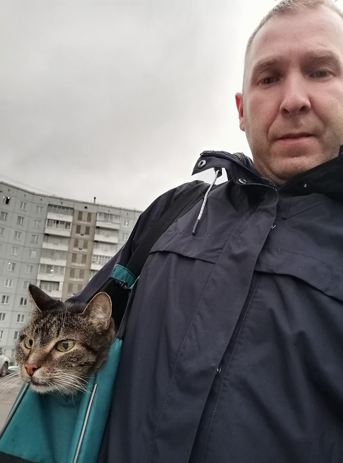 Сегодня наблюдал прекрасное