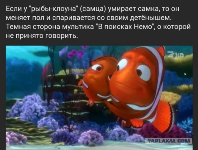 Бредзона 10.02.2020