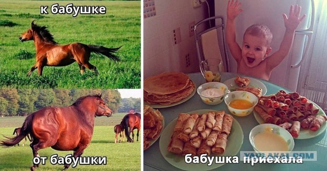 Это я, твоя любимая бабуля приехала