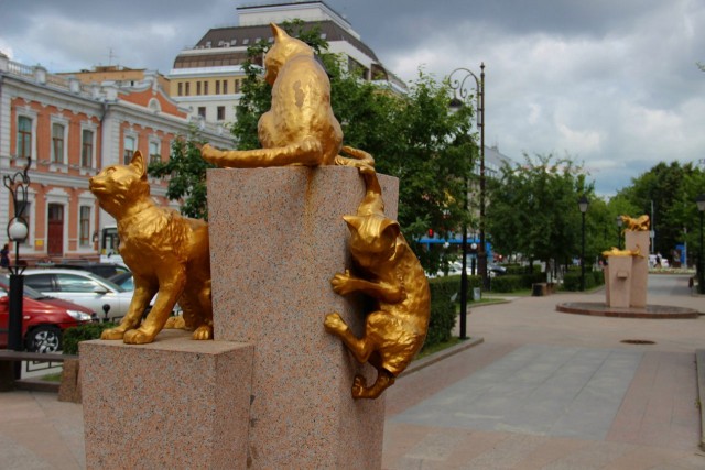Сквер сибирских кошек